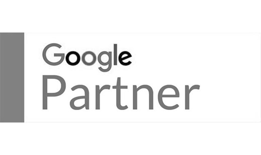 Google Partner Webrandz